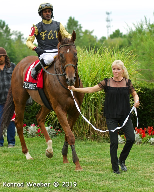 In Photos Winning Puss N Boots Cup Connections Take A Dip